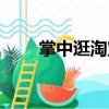 掌中逛淘寶（關(guān)于掌中逛淘寶簡(jiǎn)介）