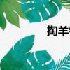 掏羊鍋（關(guān)于掏羊鍋簡(jiǎn)介）
