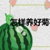 怎樣養(yǎng)好菊花（關(guān)于怎樣養(yǎng)好菊花介紹）