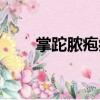 掌跎膿皰?。P(guān)于掌跎膿皰病簡介）