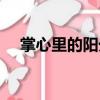掌心里的陽(yáng)光（關(guān)于掌心里的陽(yáng)光簡(jiǎn)介）