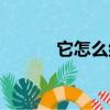 它怎么組詞（它應(yīng)該怎么組詞）