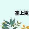 掌上重慶（關(guān)于掌上重慶簡介）