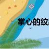 掌心的紋路（關(guān)于掌心的紋路簡介）