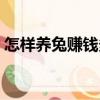 怎樣養(yǎng)兔賺錢多（關(guān)于怎樣養(yǎng)兔賺錢多介紹）