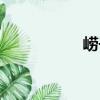 嶗子（關于嶗子簡介）