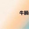 牛腩是什么（牛腩的介紹）