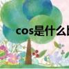 cos是什么比什么（深入了解三角函數(shù)）