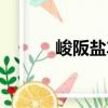 峻阪鹽車（關(guān)于峻阪鹽車簡介）