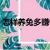 怎樣養(yǎng)兔多賺錢（關(guān)于怎樣養(yǎng)兔多賺錢介紹）