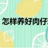 怎樣養(yǎng)好肉仔雞（關(guān)于怎樣養(yǎng)好肉仔雞介紹）