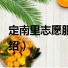 定南里志愿服務(wù)隊(duì)（關(guān)于定南里志愿服務(wù)隊(duì)介紹）