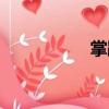 掌蹄（關(guān)于掌蹄簡介）