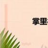 掌里村（關(guān)于掌里村簡介）