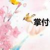 掌付卡（關(guān)于掌付卡簡介）