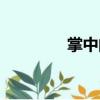 掌中閱（關(guān)于掌中閱簡(jiǎn)介）