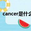 cancer是什么意思中文（cancer中文含義）
