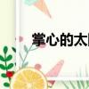 掌心的太陽(yáng)（關(guān)于掌心的太陽(yáng)簡(jiǎn)介）