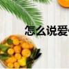 怎么說愛你（關(guān)于怎么說愛你介紹）