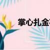 掌心扎金花（關(guān)于掌心扎金花簡(jiǎn)介）