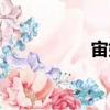 宙始（關(guān)于宙始介紹）