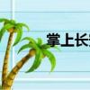 掌上長安（關(guān)于掌上長安簡介）