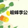 峻峰李公祠（關(guān)于峻峰李公祠簡介）