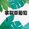 掌裂草葡萄 變種（關(guān)于掌裂草葡萄 變種簡介）