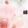 峰芒（關(guān)于峰芒簡(jiǎn)介）