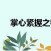 掌心緊握之物（關(guān)于掌心緊握之物簡介）