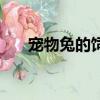 寵物兔的飼養(yǎng)方法（寵物兔子怎么養(yǎng)）