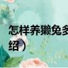 怎樣養(yǎng)獺兔多賺錢（關(guān)于怎樣養(yǎng)獺兔多賺錢介紹）