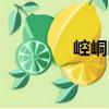 崆峒印（關(guān)于崆峒印簡介）