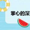 掌心的深藍(lán)（關(guān)于掌心的深藍(lán)簡(jiǎn)介）