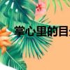 掌心里的目光（關(guān)于掌心里的目光簡(jiǎn)介）