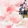 定制范（關(guān)于定制范介紹）