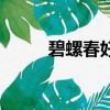 碧螺春好喝嗎（碧螺春是否好喝）