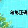 烏龜正確的飼養(yǎng)方法（如何養(yǎng)烏龜）