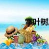 掌葉樹(shù)屬（關(guān)于掌葉樹(shù)屬簡(jiǎn)介）