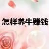 怎樣養(yǎng)牛賺錢多（關(guān)于怎樣養(yǎng)牛賺錢多介紹）