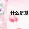 什么是基尼系數(shù)（基尼系數(shù)的定義）