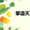 掌道天尊（關(guān)于掌道天尊簡介）