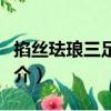 掐絲琺瑯三足蓋鼎（關(guān)于掐絲琺瑯三足蓋鼎簡介）