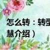 怎么轉(zhuǎn)：轉(zhuǎn)型的智慧（關(guān)于怎么轉(zhuǎn)：轉(zhuǎn)型的智慧介紹）