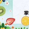 掌計（關于掌計簡介）