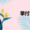 掌付寶（關(guān)于掌付寶簡介）