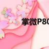 掌微P800（關(guān)于掌微P800簡介）