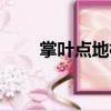 掌葉點(diǎn)地梅（關(guān)于掌葉點(diǎn)地梅簡介）