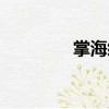 掌海綿（關(guān)于掌海綿簡(jiǎn)介）