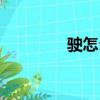 駛怎么組詞（駛?cè)绾谓M詞）
